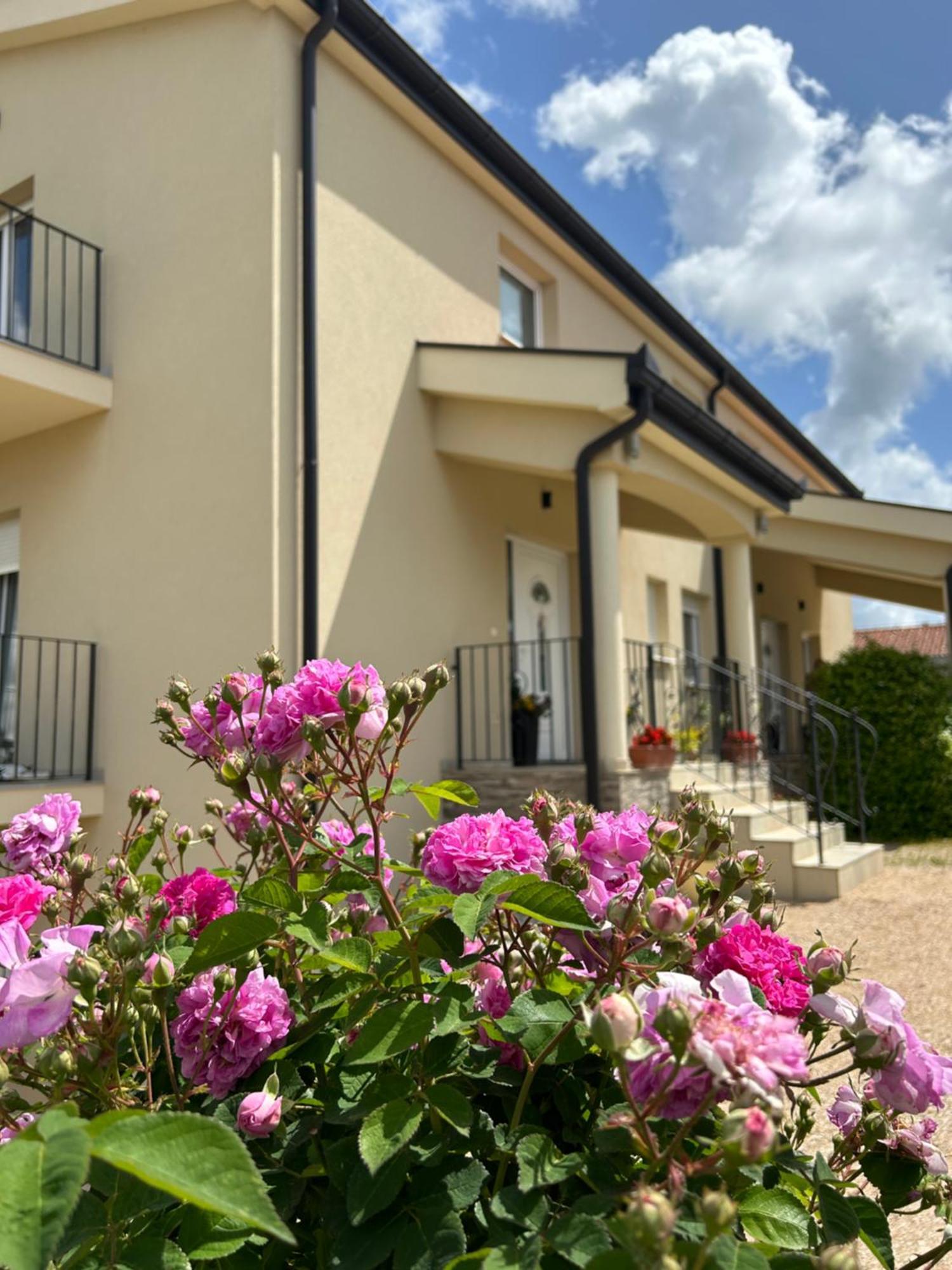 Apartman Marija Međugorje Exteriér fotografie